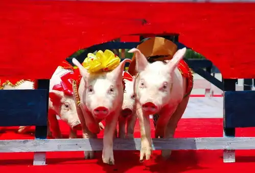 海量门票免费送国庆七天贾汪墨上集神奇动物展来了神兽出没,萌动泉城