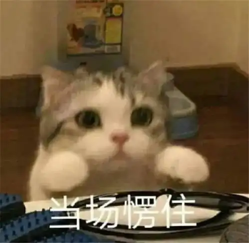 表情包你胡说,我才没有脱发