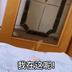 昨天央视镜头拍下外星人,差点把我笑没了