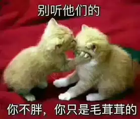 开心一刻