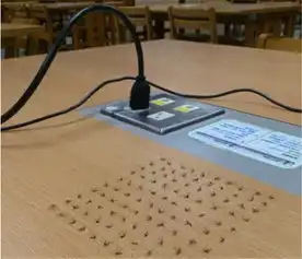 用60只蚊子写作文这一次的起因皆因为报复蚊子2