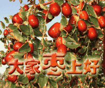 早上好,最全的早上好表情图片送给你请查收