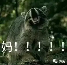 如果你妈微信经常不理你,就把这套表情包分享给她