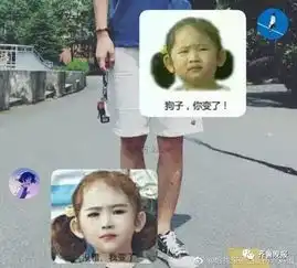 和好友表情包互怼最好玩的一次,看完都想要