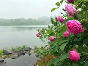 吐血整理江苏最大游乐园攻略,拿去花