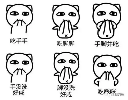 笑掉裤子2017年最火表情包最搞笑图片最没品新闻集锦