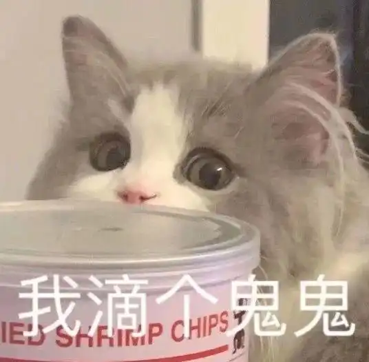 猫猫只是路过表情包牛肉干