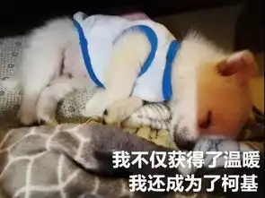 辣眼睛的操作狗子在取暖器睡醒后,发生了惊天动地的变化