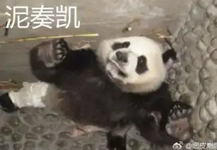 这只熊猫被脱裤子一夜爆红年轻时参加熊猫界团战骨折,如今隐居青岛动物园深藏功与名