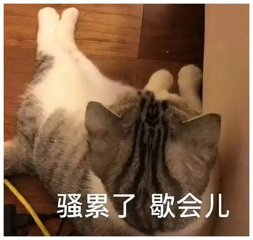 搞笑gif我就开了个柚子,他们为啥说我活该单身