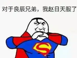 赵日天是什么梗高人一级的传说