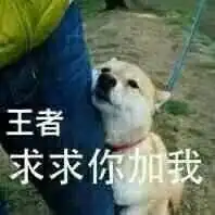 你负责一打五表情包