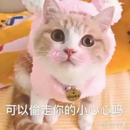 女孩子聊天时撒娇改用什么词回复