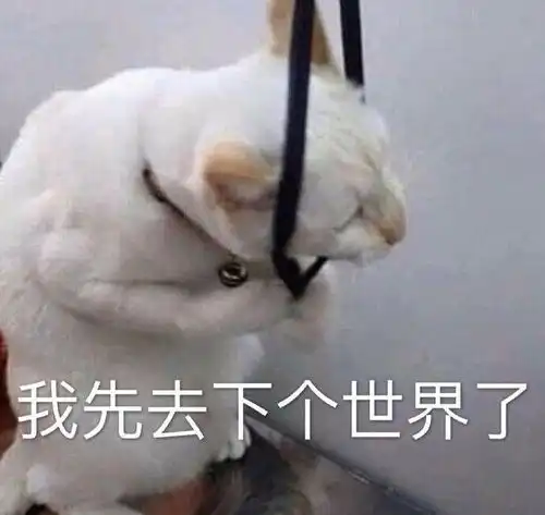 在迪士尼中暑一边吐一边倔强排队