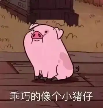 别人说你是猪精,知道啥意思不