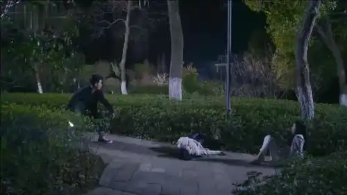 小情侣出去约会,刚走到小树林里,背后突然蹦出一只狼人