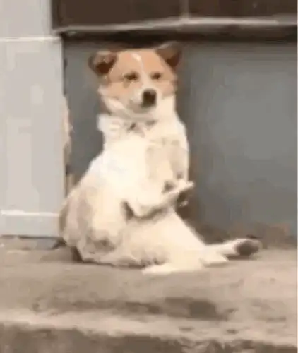 播出时的情况