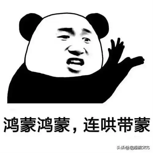 两次封板被砸,今天进来的主力已经恼羞成怒,估计明天也要跑路