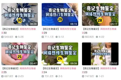 为什么全世界都在用藏狐表情包