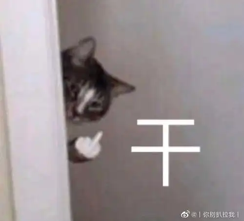 闲着没事整理了一波骂人的表情包