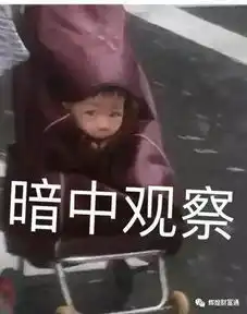 绝对是自家孩子暴雨孩子塞买菜车一夜爆火,一脸懵逼表情包上线
