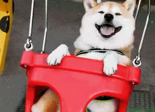 你知道,你发出的表情包在爸妈眼里意味着什么