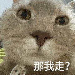 妈妈扎紧点,漂亮丨第130期喵表情