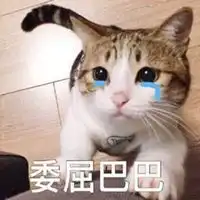 好委屈的表情微信头像微信头像图片大全