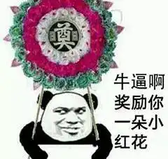 旱鸭必备戴上这个项圈,让你与溺水告别