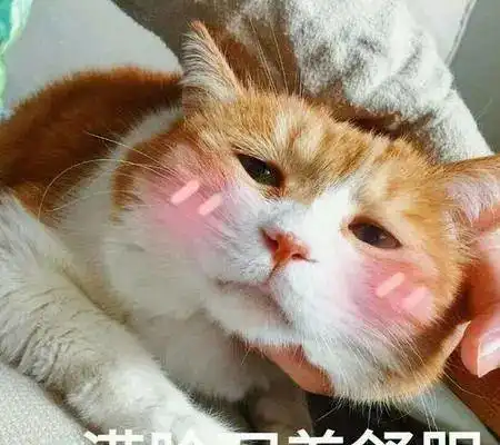 老师阳了,网课焦虑好了