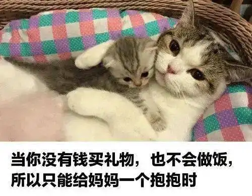 论社畜的正确坐姿,我喵无人能敌第91期表情包