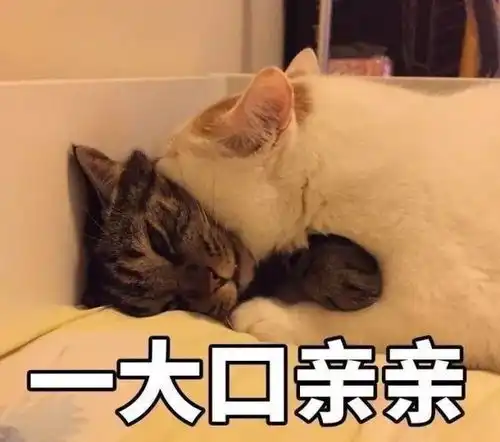 同学,送命题做过吗