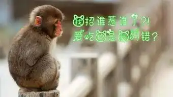 爆笑歇后语四川话中最妖艳儿的板眼儿,笑死人了