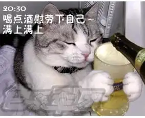 猫咪搞笑屌丝表情演绎上班族的一天