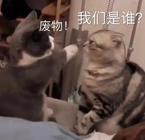 朋友圈沙雕配图01