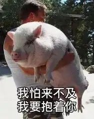 测试一个超长简介的文章