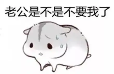 哄老公专用仓鼠表情包