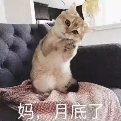 不说了,看完这篇推文还要把手机还给舍友