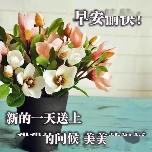 对自己好,就要用心对别人好,就要关心早安生活