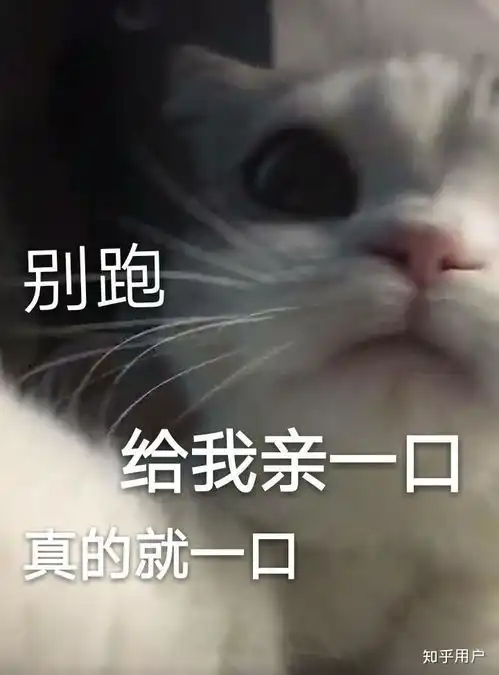 有什么可爱的表情包.