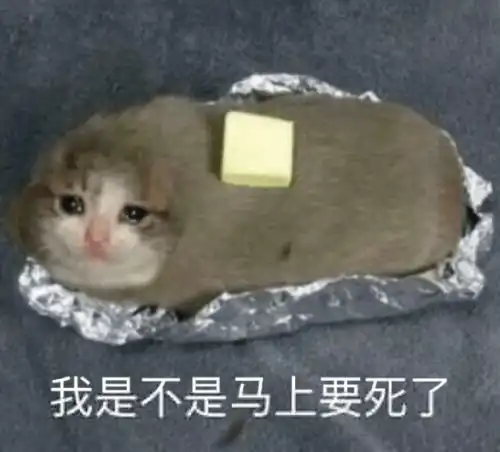 测试一个超长简介的文章
