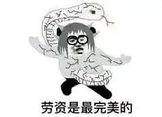 熊猫头火影忍者表情包