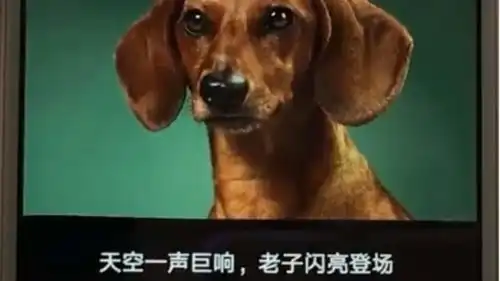 这款手机app只需要一张照片,让你一秒变成动态表情包