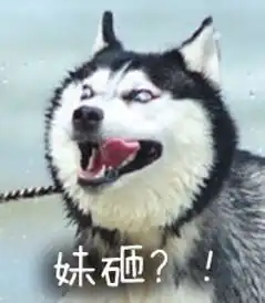 自截你一定要好好的,我一定会乖乖的
