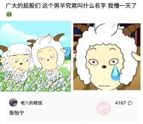 天天看段子,搞笑沙雕图片让您笑哈哈