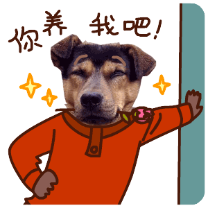 关于单身狗的表情包大全