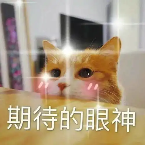 表情包我投降,你赢了
