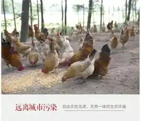 一夜之间,永康人都在疯传这个蛋的故事......