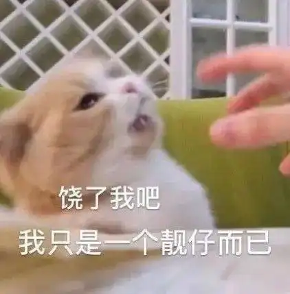 聊天斗图表情包哥哥我投降