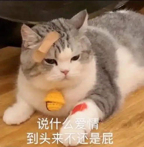 我的收藏